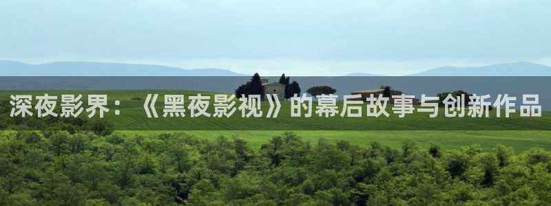 天狼影院理论：深夜影界：《黑夜影视》的幕后故事与创新作品