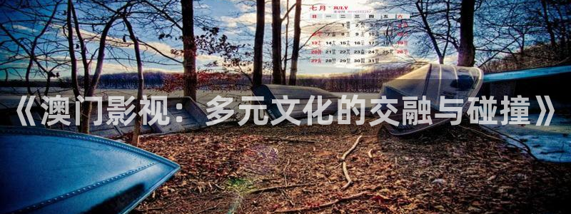 天狼影视大全在线观看免费版：《澳门影视：多元文化的交融与碰撞》
