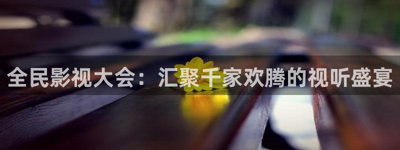 天狼影院午夜剧场：全民影视大会：汇聚千家欢腾的视听盛宴