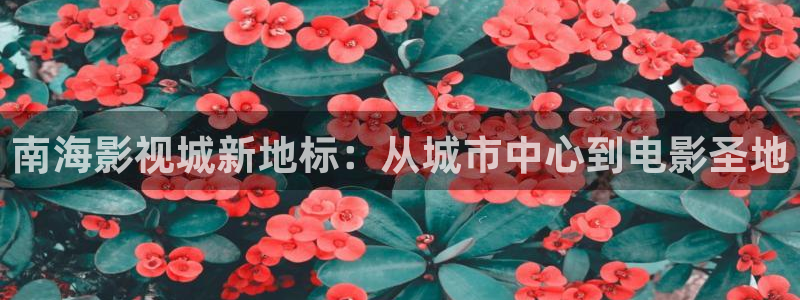 朋友的妈妈天狼影院：南海影视城新地标：从城市中心到电影圣地