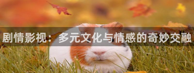 天狼影院黄色片：剧情影视：多元文化与情感的奇妙交融