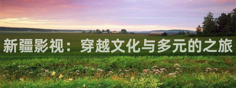 天狼在线观看：新疆影视：穿越文化与多元的之旅