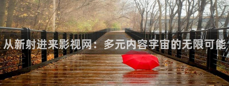 西瓜天狼影院2024电视剧在线观看网站：从新射进来影视网：多元内容宇宙的无限可能
