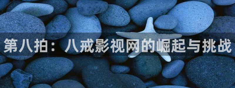 天狼电影院2025最新版免费观看：第八拍：八戒影视网的崛起与挑战