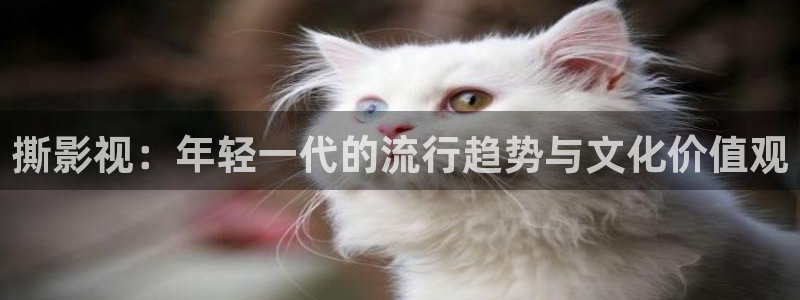 天狼影院007电影：撕影视：年轻一代的流行趋势与文化价值观