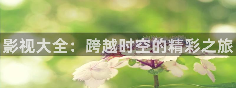 天狼影院2020最新电视剧在线观看影视：影视大全：跨越时空的精彩之旅
