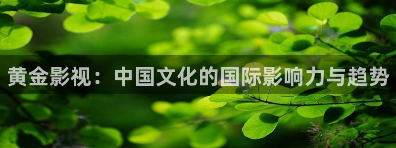 天狼影院成人：黄金影视：中国文化的国际影响力与趋势